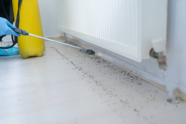 Trusted Batesville, MS Pest Control Experts