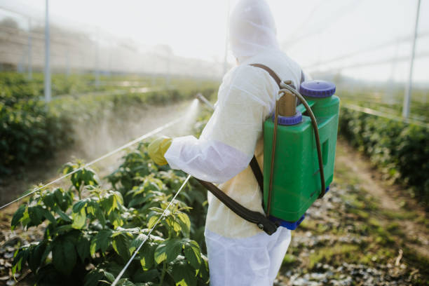 Best Residential Pest Control  in Batesville, MS